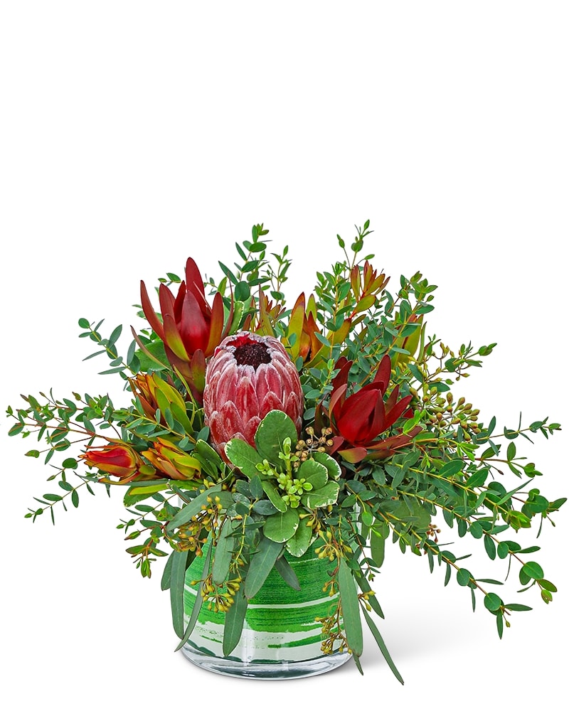 Protea Wilderness in Inver Grove Heights MN - Glassing Florist