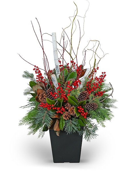 Fresh Flowers Christmas Arrangement Pot