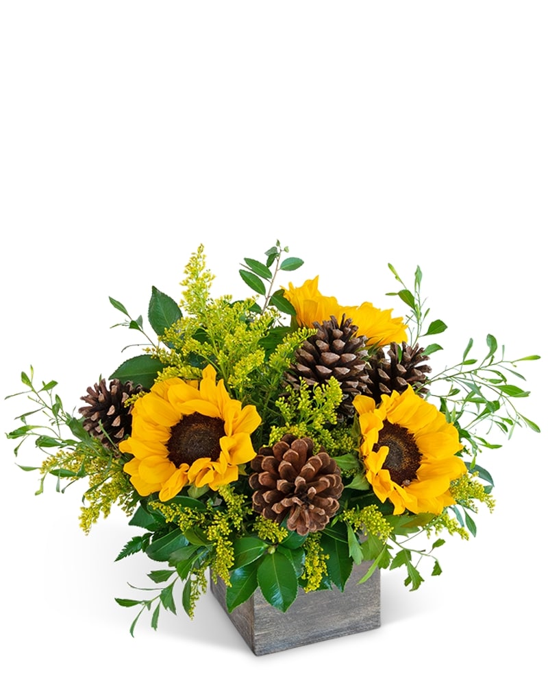 Harvest Sunburst by Local Mesa, AZ Florist in Mesa AZ