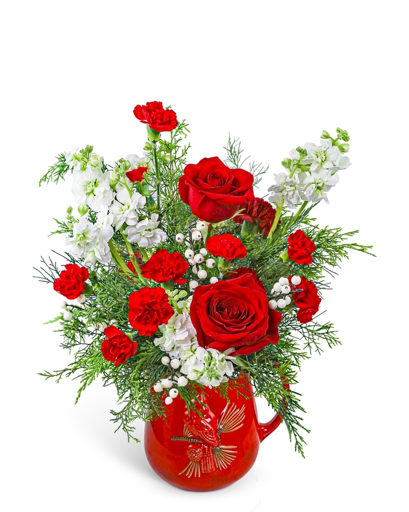 Scarlet Flight Pitcher in Dansville NY - Dogwood Floral Company