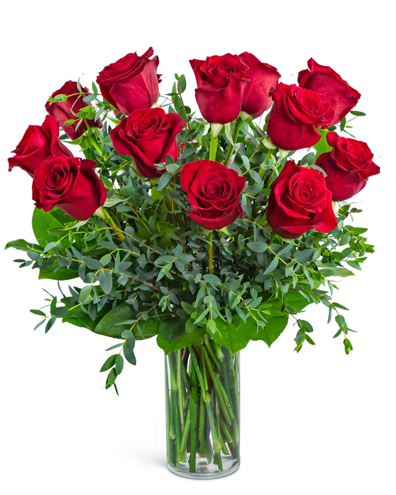 One Dozen Red Hot Roses in Haymarket VA - Melanie's Florist