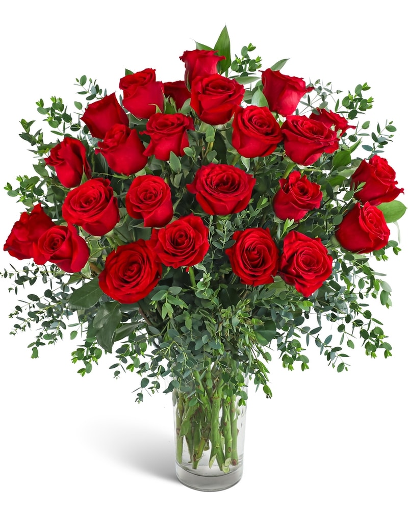 Two Dozen Red Hot Roses in Stow OH - Oregon Corners Florist