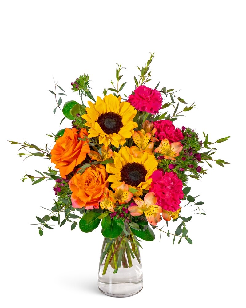 Get Well Delivery in Mesa AZ | Razzle Dazzle® Flowers & Gifts
