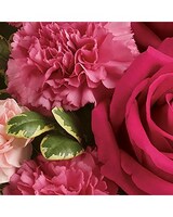 Hand tied bouquets size,  inches height and  inches wide.