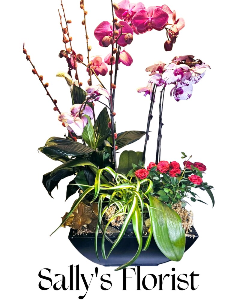 Modern Flowers in Chilliwack, BC | Sally Florist Chilliwack