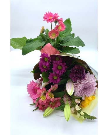 Flowers and a plant Flower Arrangement