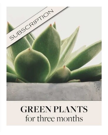 Green Plants Flower Arrangement