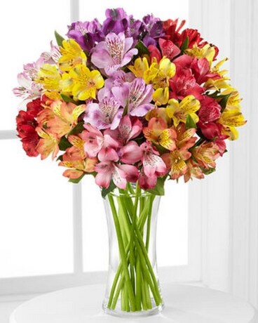 Rainbow's Discovery Peruvian Lily Bouquet Flower Arrangement