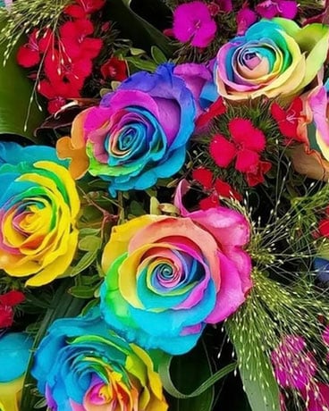 Designers Choice with Rainbow Roses Included Flower Arrangement