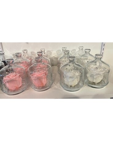 Pink and White Eternal Rose in Glass Case Flower Arrangement