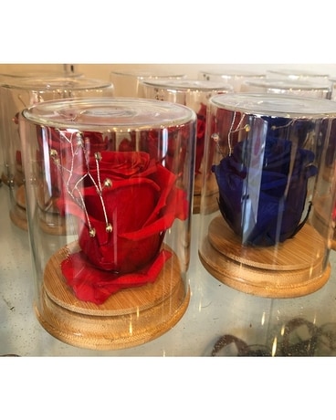 Blue and Red Eternal Rose In Glass Case Flower Arrangement