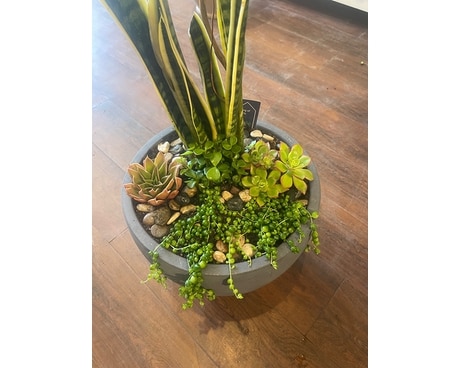 Succulent Patio Planter Flower Arrangement
