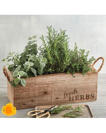 Fresh Herb Garden Flower Arrangement