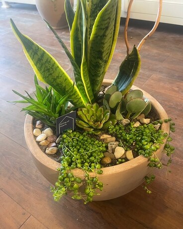 Succulent Patio Planter Flower Arrangement