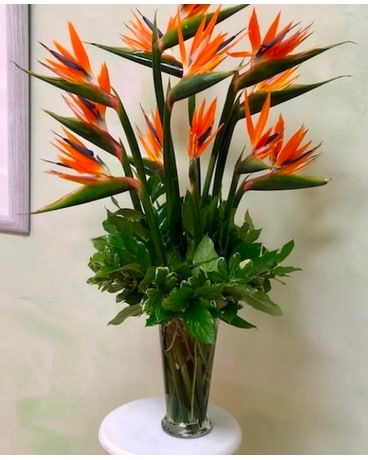 Mothers Day Luxury Orchid Delight Flower Arrangement