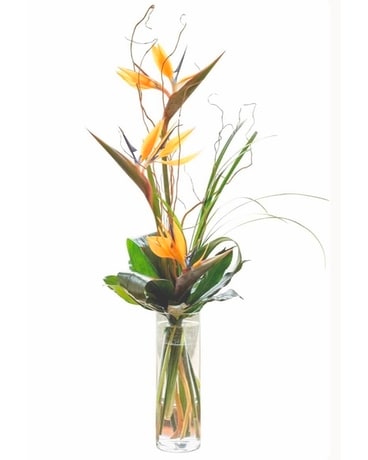 Mothers Day Paradise Flower Arrangement