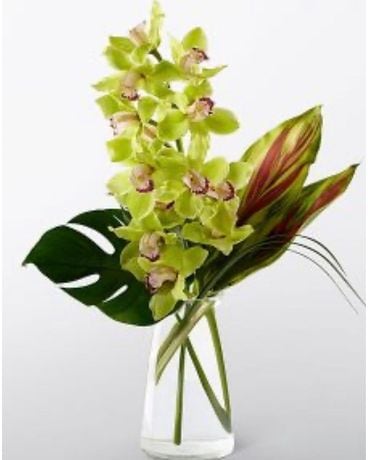 Cymbidium Orchid Delight Flower Arrangement