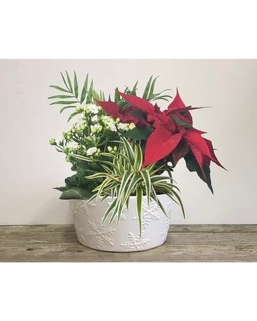 Winter Whites Snowflake Planter Flower Arrangement