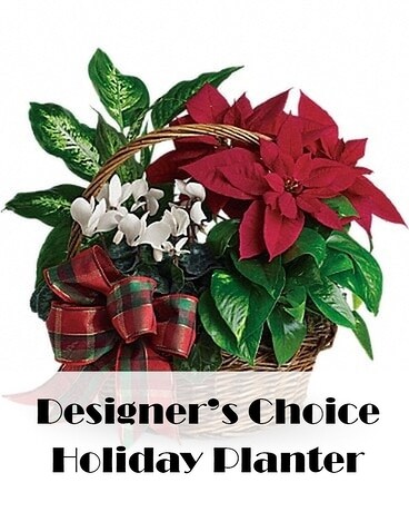 Designer's Choice Planter Flower Arrangement