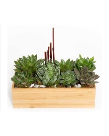 Desert Beauty Succulent Flower Arrangement