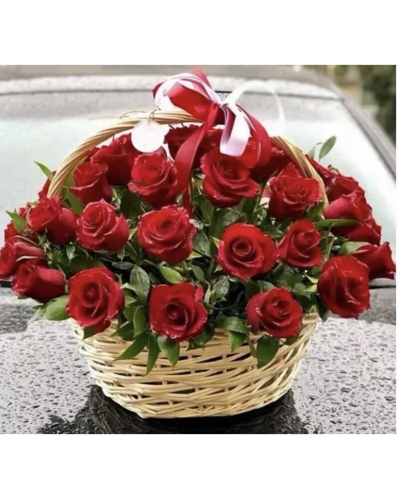 Basket rose online