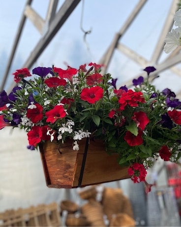 Hanging Baskets Flower Arrangement