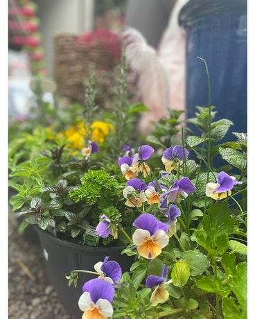 Perenials and Annuals Flower Arrangement
