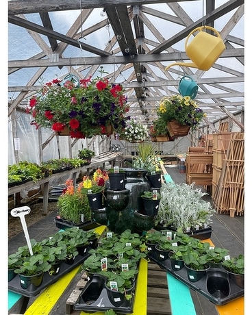 Garden Centre Flower Arrangement