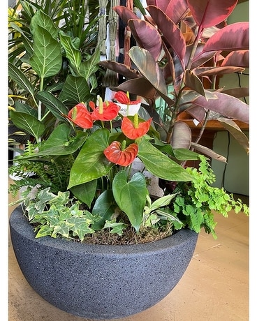 Indoor Plant 34 Flower Arrangement