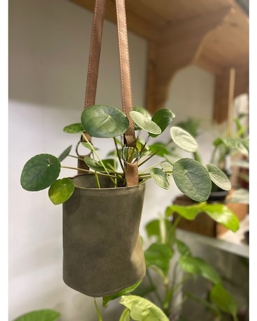 Indoor Plant 40 Flower Arrangement