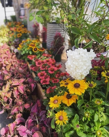 Garden Center Flower Arrangement