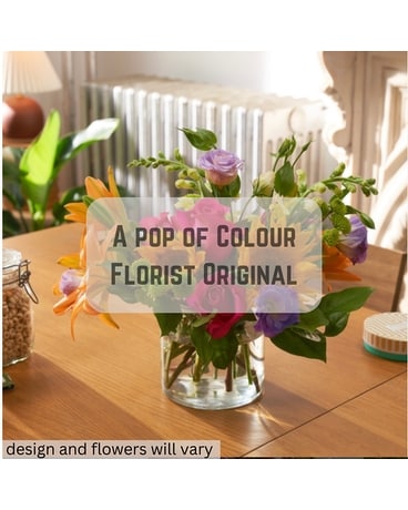 Daisy a Day's A Pop of Colour - Florist Original Flower Arrangement