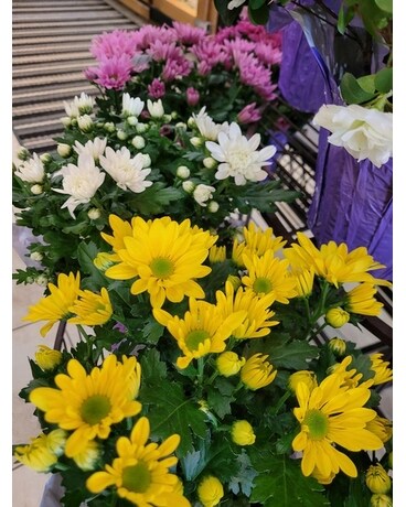 Mum Flower Arrangement