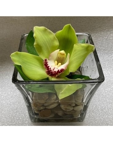 Custom Orchid Bowl Flower Arrangement