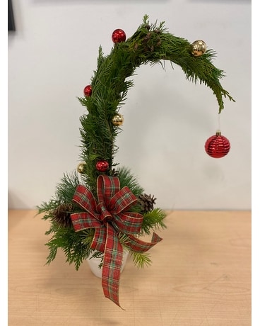 Grinch Tree Plant