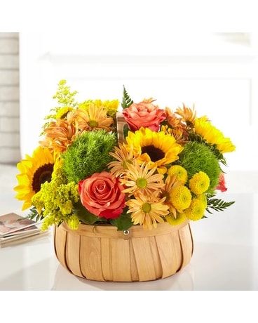 Harvest Sunflower Basket Flower Arrangement