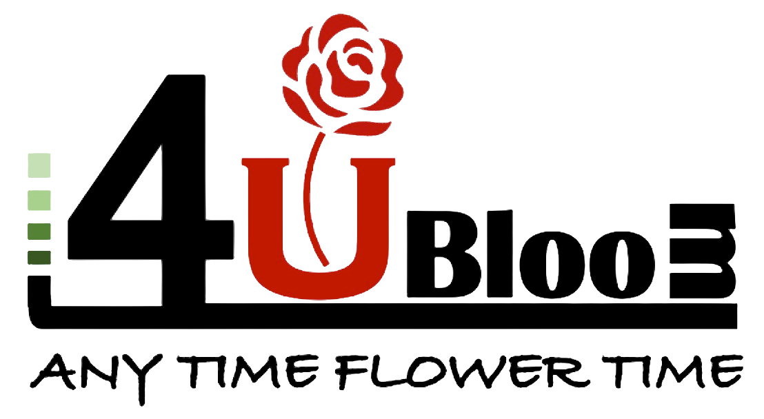 Winnipeg Florist Flower Delivery by 4U Bloom