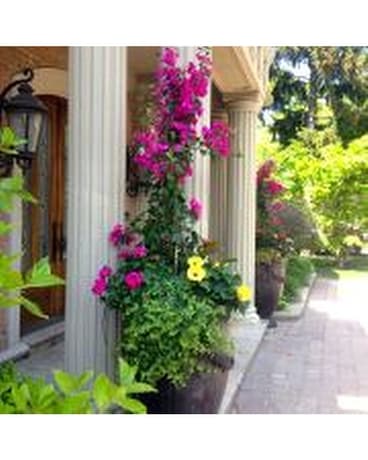 Fuchsia Bright Summer Urn Flower Arrangement