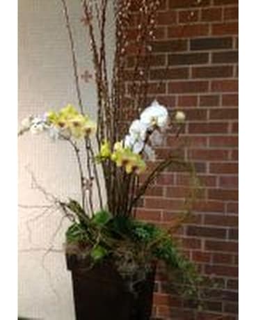 Orchids Summer Urn Flower Arrangement
