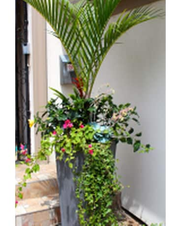 Palm Dreams Summer Urn Flower Arrangement
