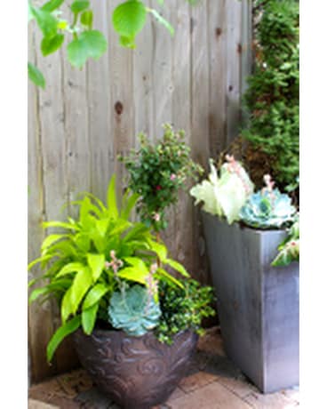 Cool Shade Summer Planter Flower Arrangement