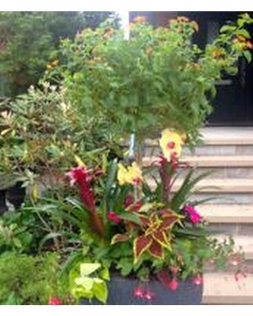 Tropical Summer Urn Flower Arrangement