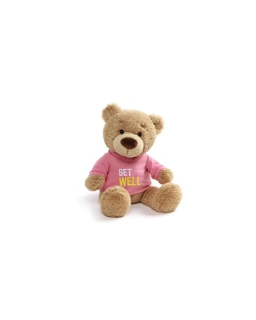 GUND Get Well Bear Gifts