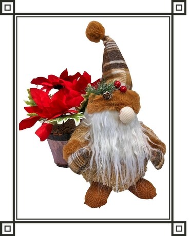 Christmas with my Gnomies Plant