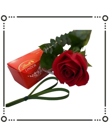 Single Red Rose Flowers