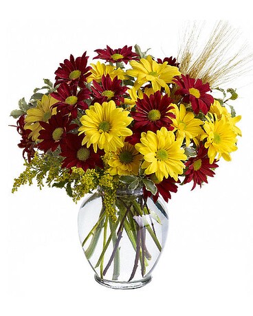 Fall for Daisies Flower Arrangement