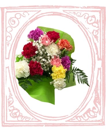 Colourful Carnations Flowers