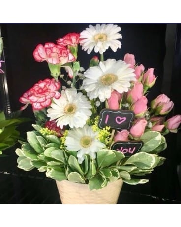 Standard Arrangement Flower Arrangement