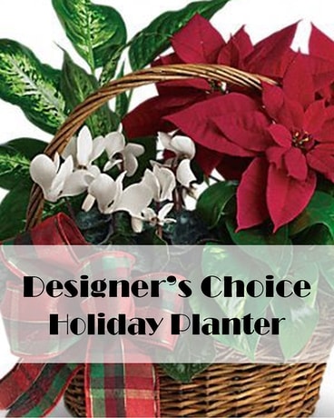 Holiday Living Planter Flower Arrangement