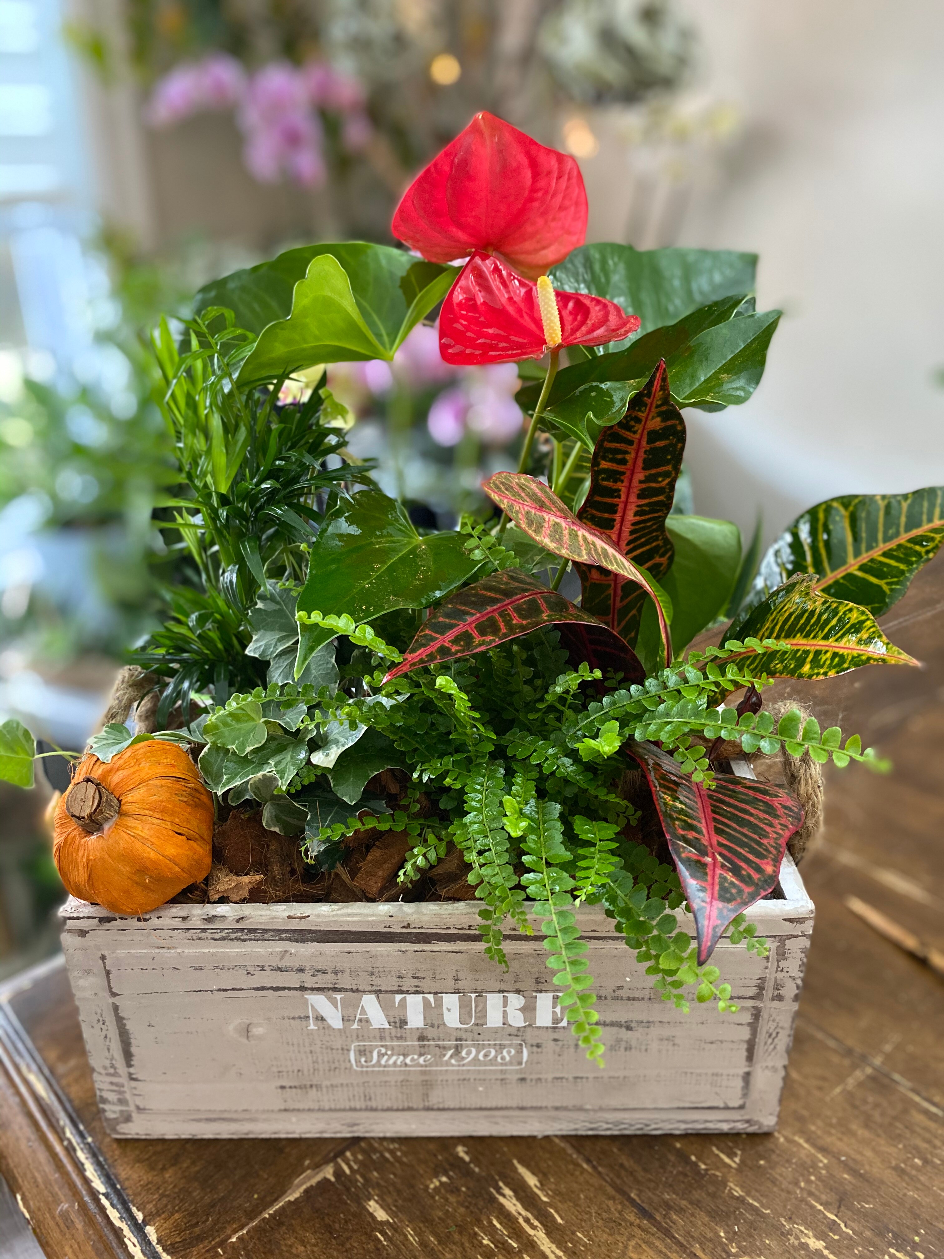 Nepean Florist Flower Delivery by Infinity Flowers